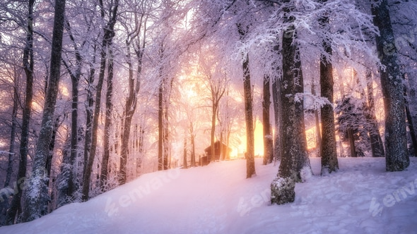Snowfallのバナー