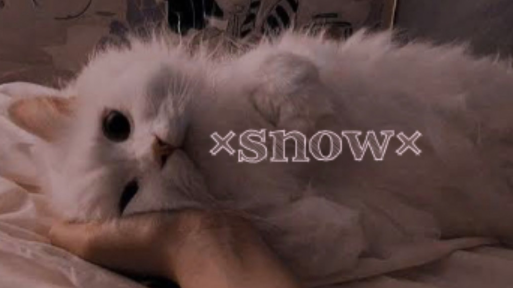 Snowのバナー