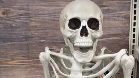 Skeleton Stakeout