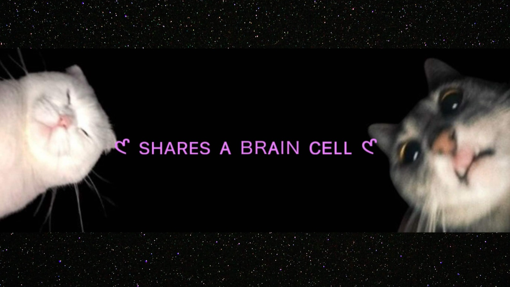 shares a braincellのバナー