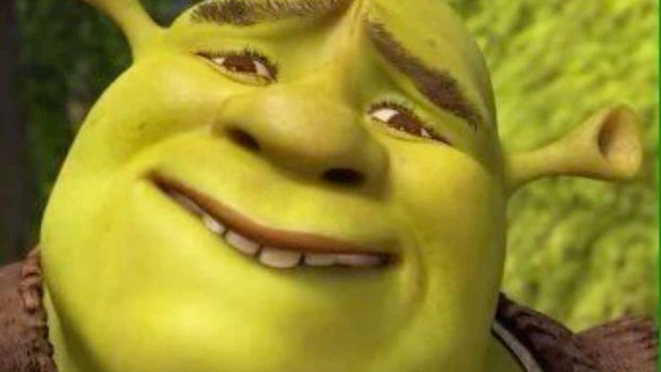 SHREK GOT RIZZ