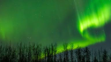 Aurora Dragon