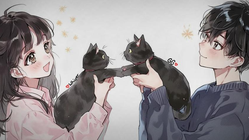meine und deinsのバナー