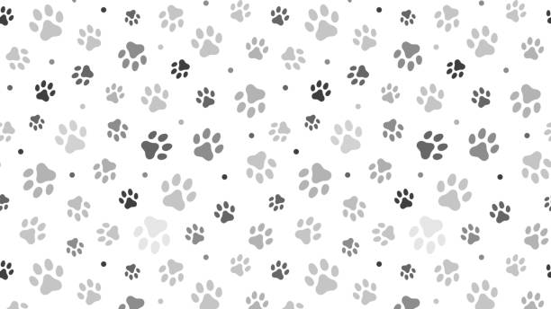 Paw Empireのバナー