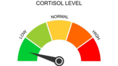 low cortisol staffのバナー
