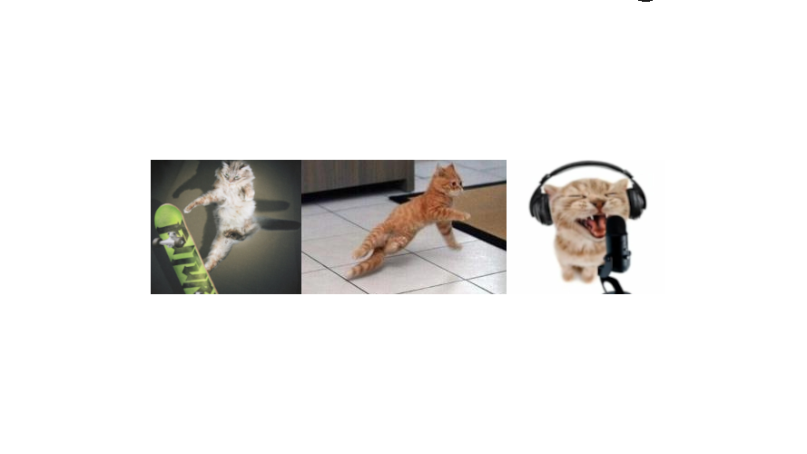 A Cat of Many Talentsのバナー