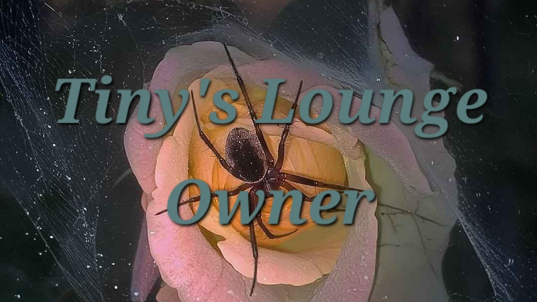 Tiny's Lounge Ownerのバナー