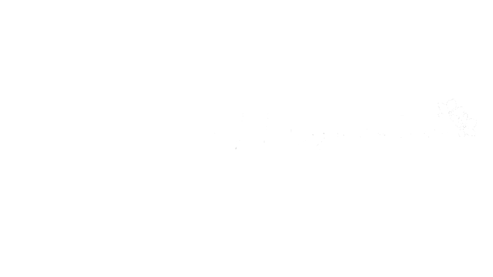 Myosotis