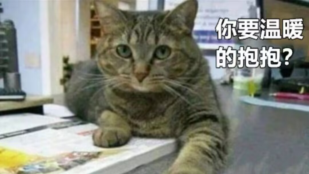 社畜也想要平静的生活のバナー