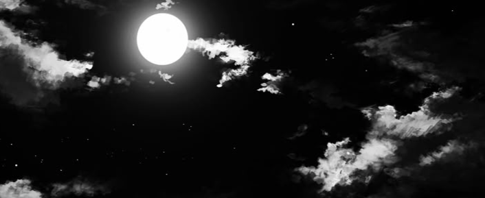 ୨ღ୧ʟᴀᴛᴇ ɴɪɢʜᴛs୨ღ୧のバナー