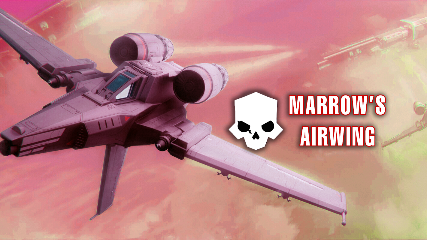 Marrow's Roughnecks Airwing Divisionのバナー