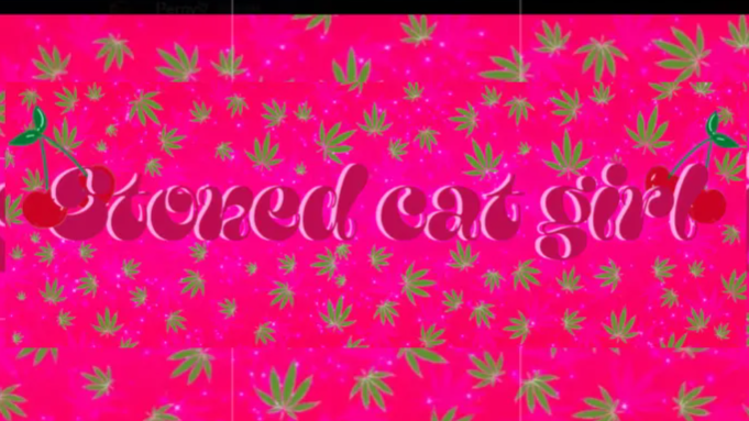 Stoned cat girlsのバナー