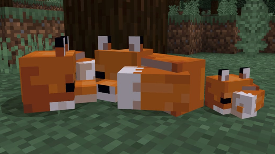 ؚؚؚ