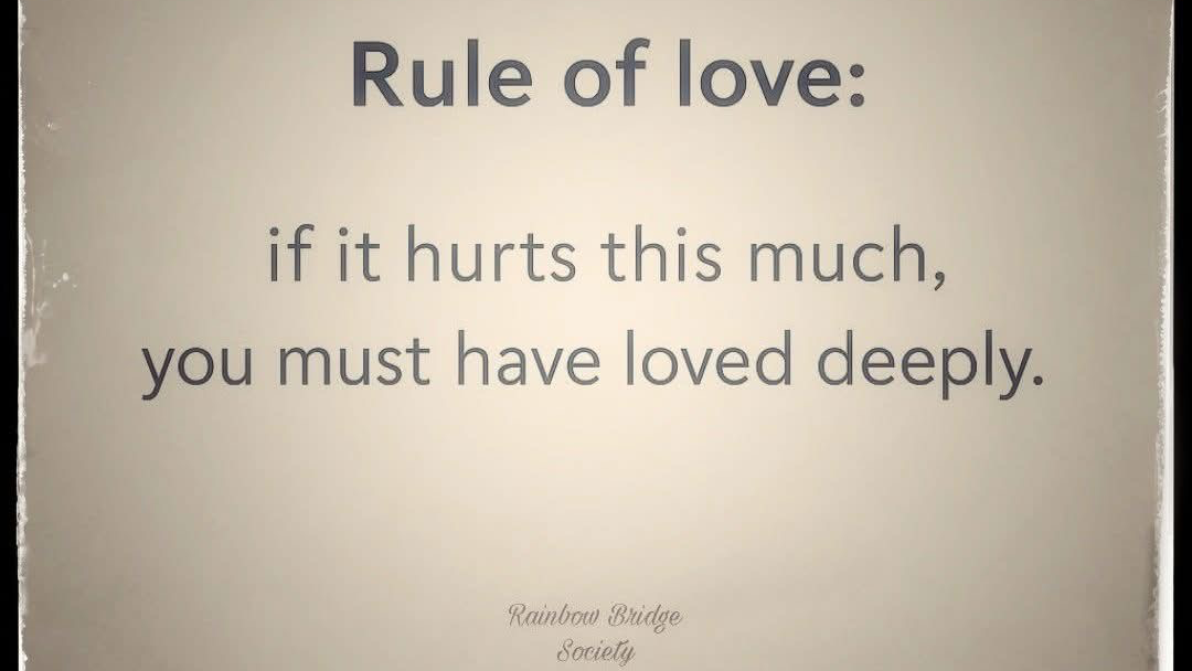 Rule of loveのバナー