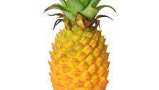 Pineapple gang