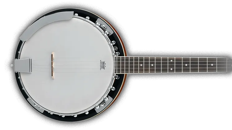Banjo Players of VRChatのバナー