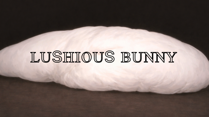 Lushious Bunnyのバナー