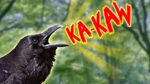 The Kakaw crew