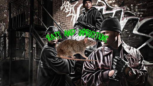 Rats and Oppositions