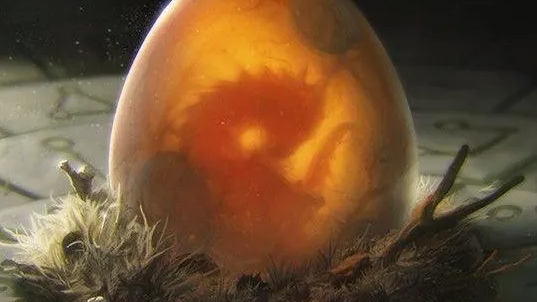 The Dragon's Nestのバナー
