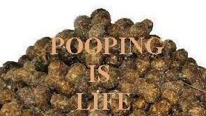 Poopoo World