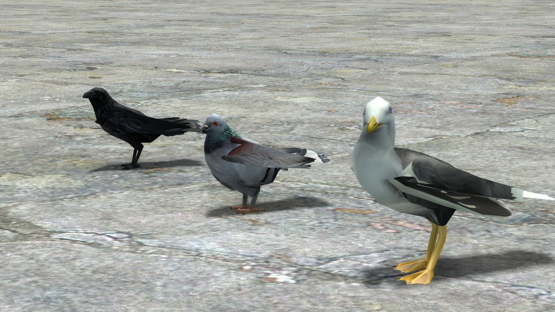 Bird gangsのバナー
