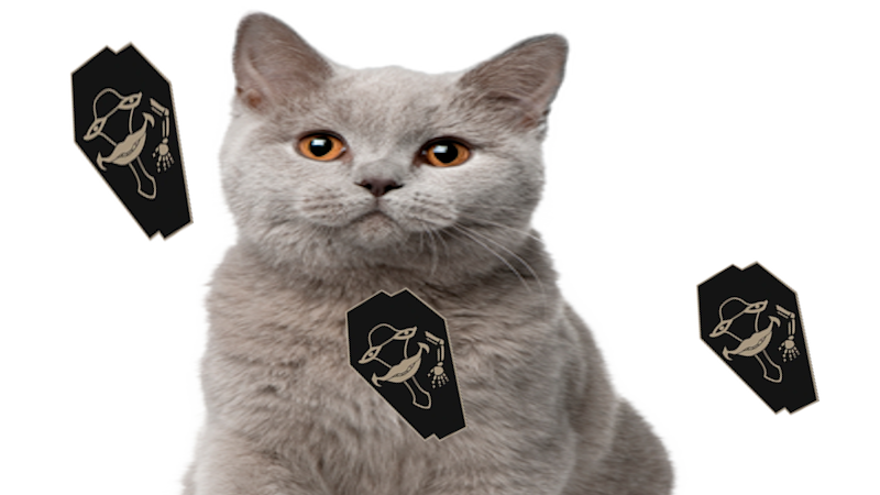 Laughing Catsのバナー