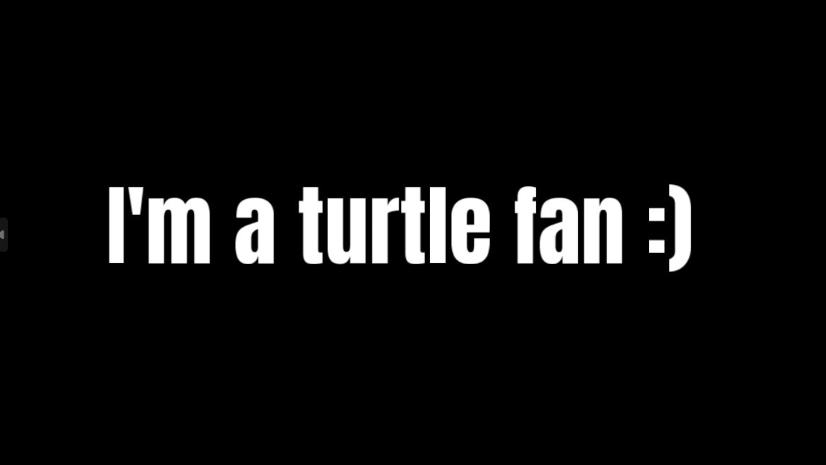 Turtle's fans