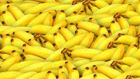 The banana enjoyers