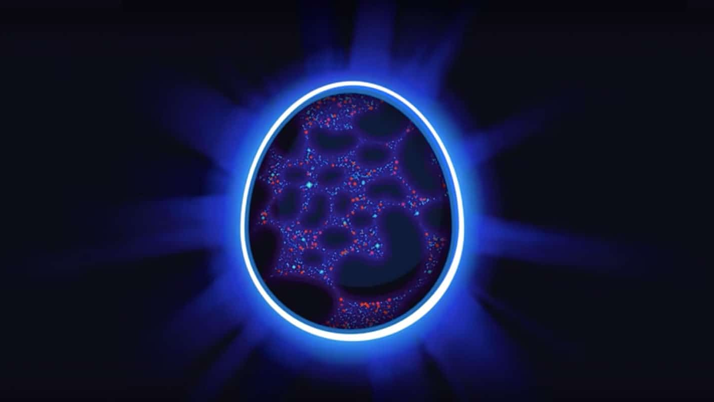 The egg