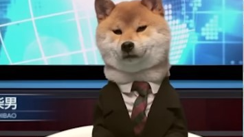 autotunedog's friends