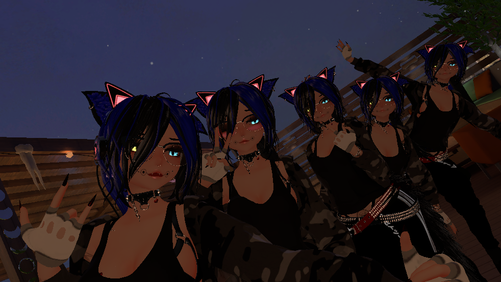 Bluejays Harem