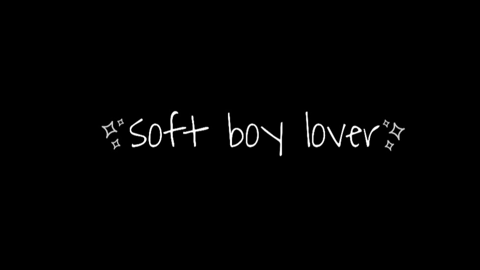 Soft Boy Loversのバナー