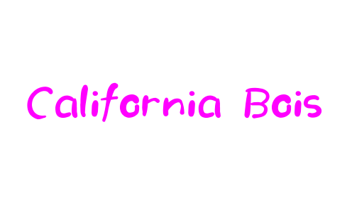 California Boisのバナー
