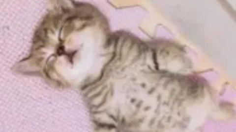 Sleepy Gals ≺3