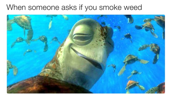 Stoner boy's hangoutのバナー