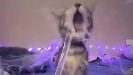 Charlietortilla is gayのバナー