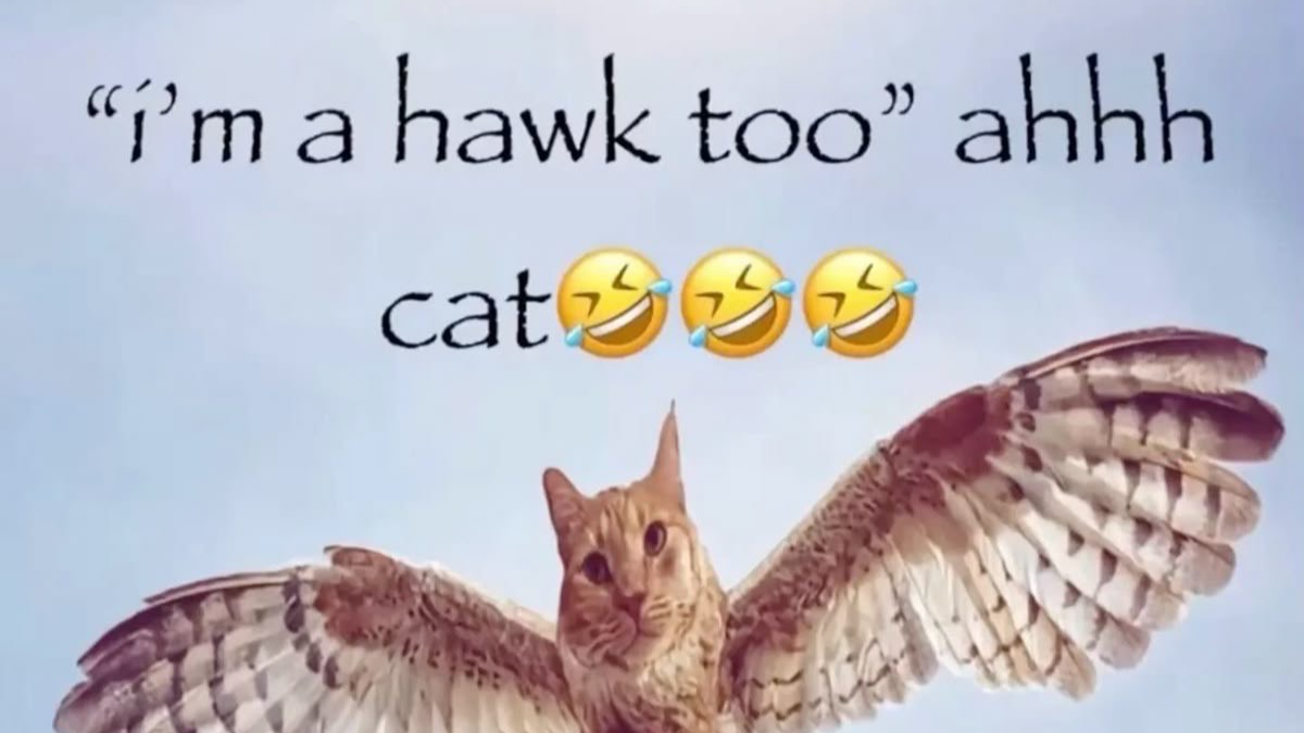 Hawk tuah luversのバナー
