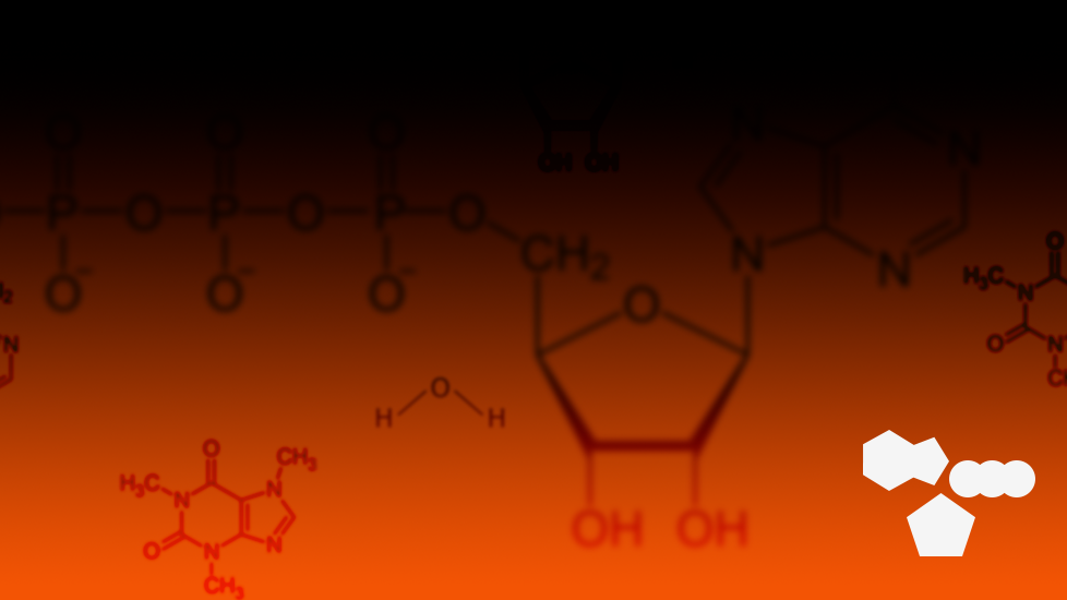 The Mitochondrionのバナー
