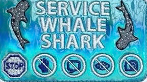 Service Whale Sharkのバナー