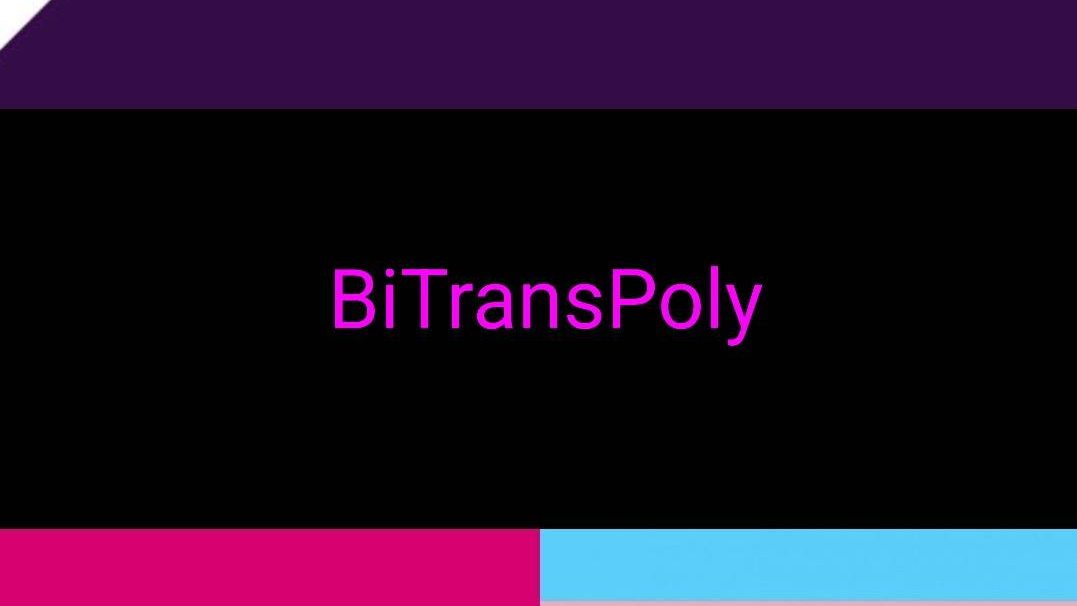 BiTransPolyのバナー
