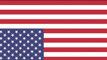 Americas Youth Partyのバナー