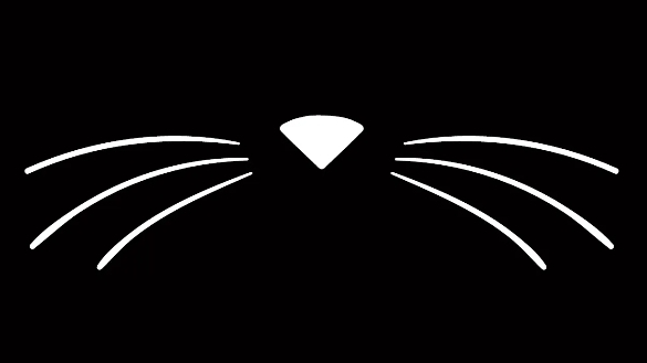 Whiskers dungeonのバナー