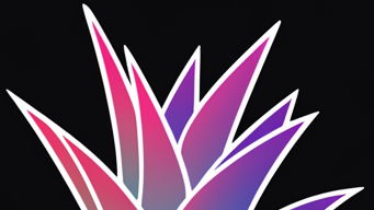 Ananas VR