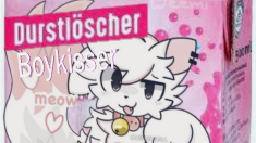 Durstlöscher Boykisserのバナー