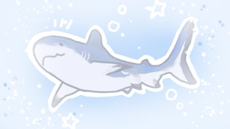 Sharky Bayのバナー