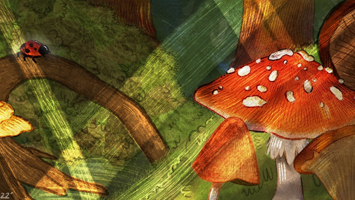 Mushroom Coのバナー