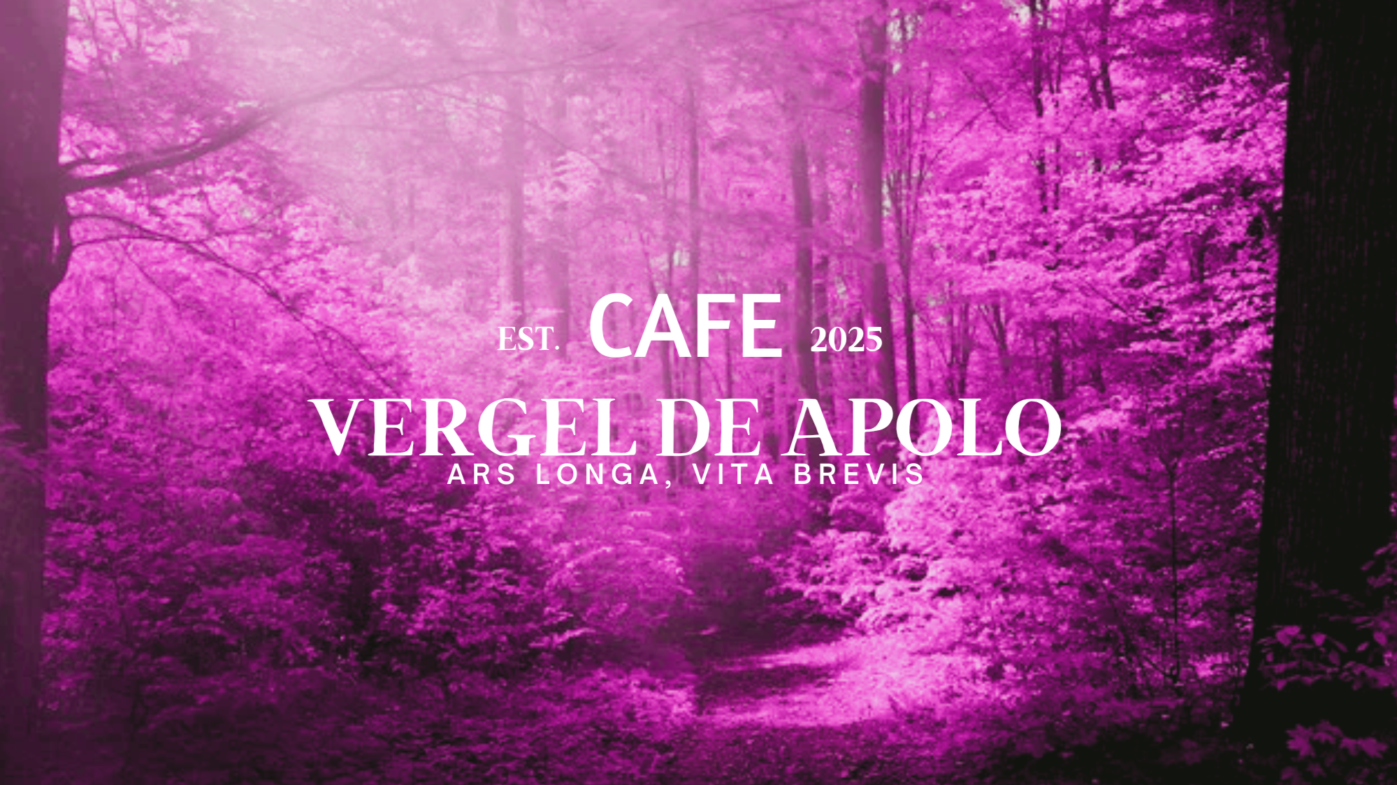 Vergel de Apolo ELENCOのバナー