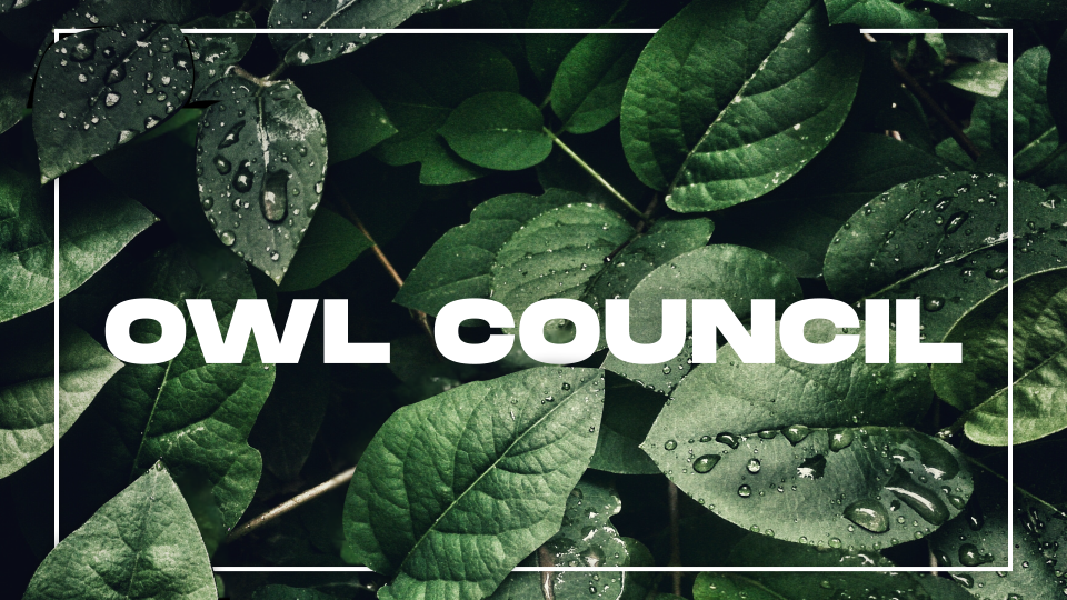 The Owl Council