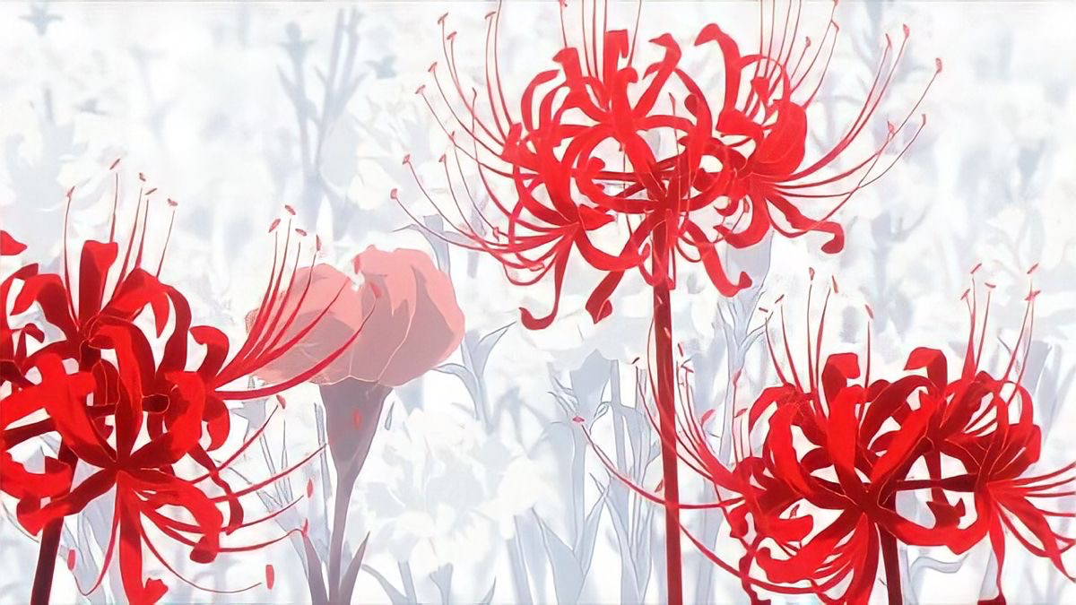 Red Spider lilyのバナー